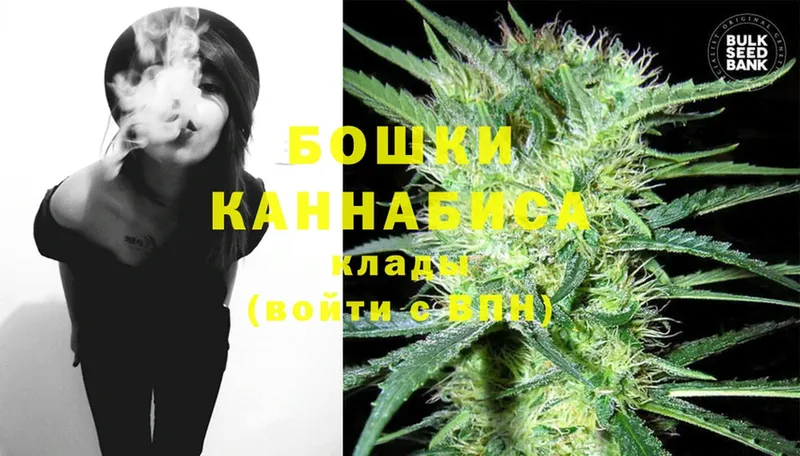 Бошки марихуана THC 21%  KRAKEN сайт  Александров 